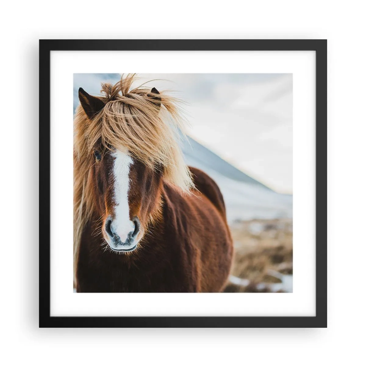 Poster în ramă neagră - Simțiți libertatea? - 40x40 cm