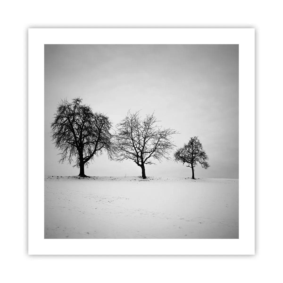 Poster - La ce visează? - 50x50 cm