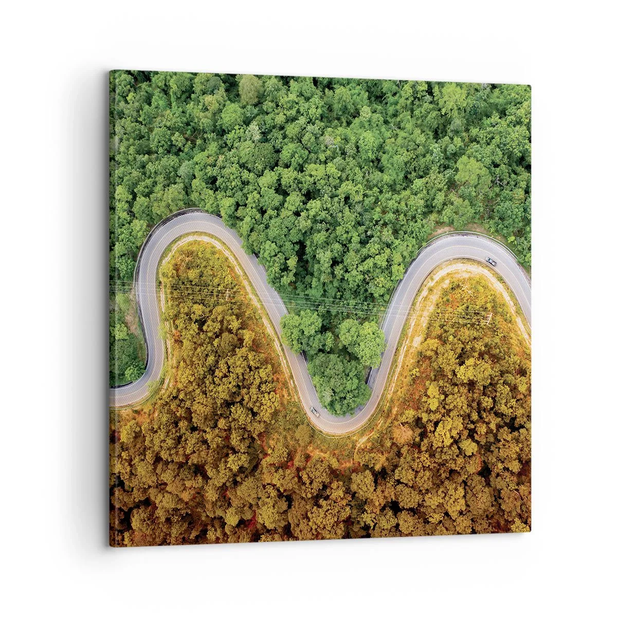 Tablou pe pânză - Frontiere și defilee - 60x60 cm