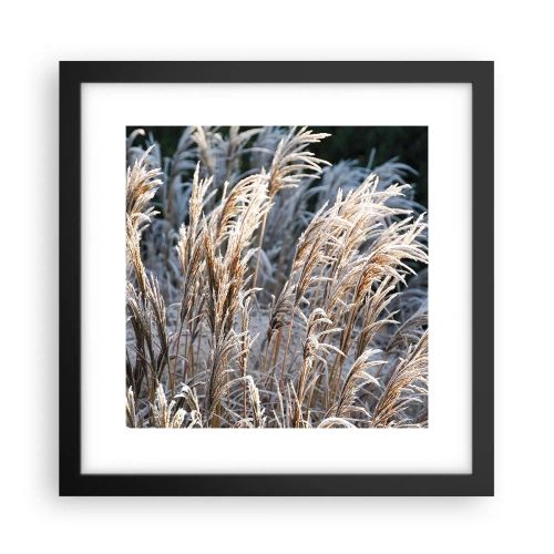 Poster în ramă neagră - Împodobite cu brumă - 30x30 cm