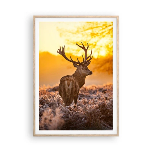 Poster în ramă de stejar deschis - Regele pădurii de toamnă - 70x100 cm