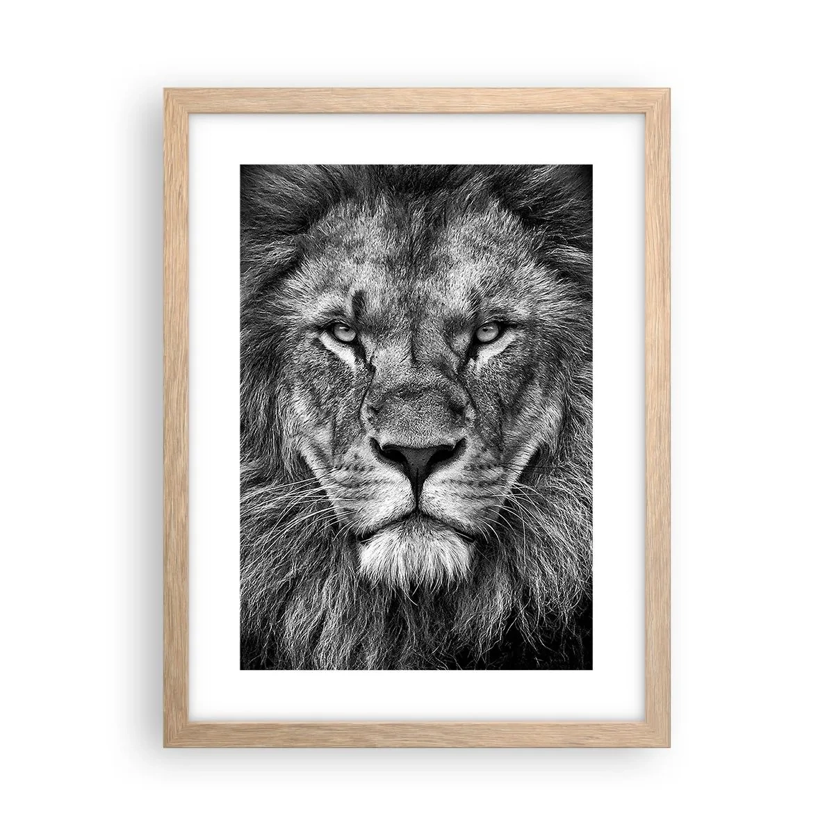 Poster în ramă de stejar deschis - În ținuta de încoronare - 30x40 cm