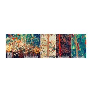Mostră tapet Premium Sand - Viața secretă a frunzelor - Padure tropicala, Natură, Copaci - 100x30 cm