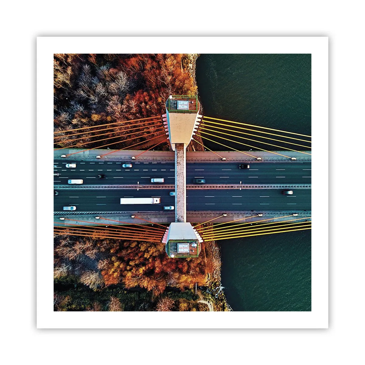 Poster - Din pădure spre apă - 60x60 cm