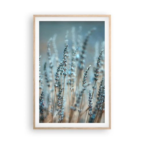 Poster în ramă de stejar deschis - Câmpul parfumat - 61x91 cm