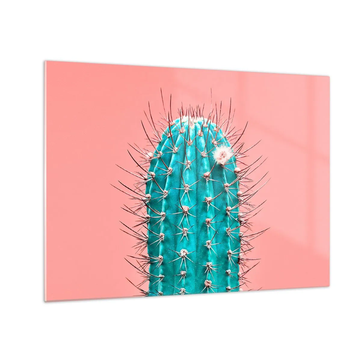 Tablou pe sticlă - Cactus verde cu spini pe fundal roz - 70x50cm - Doar privește - Decorațiune modernă pentru perete pentru living și dormitor ARTTOR