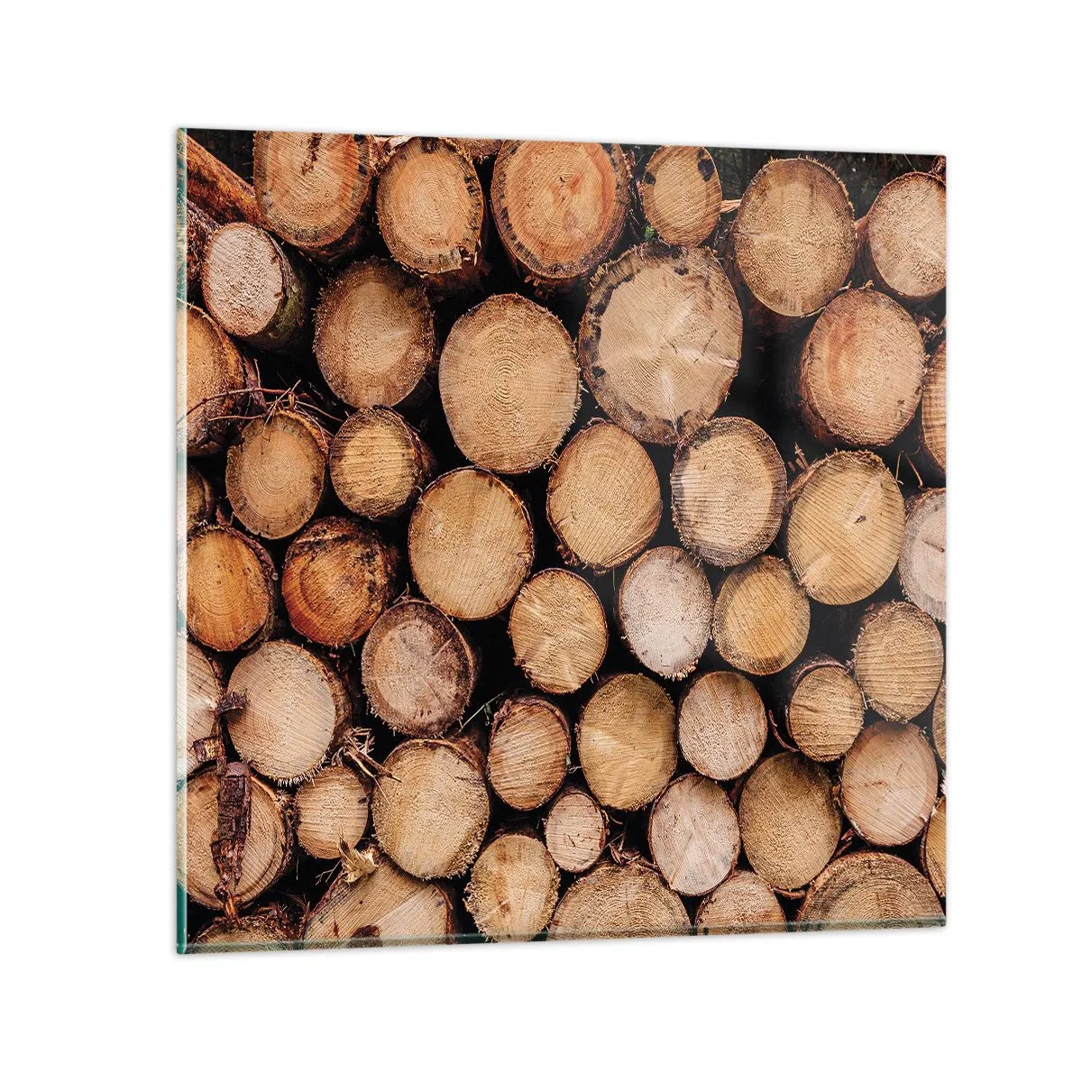 Tablou pe sticlă - Un nou început - 60x60 cm