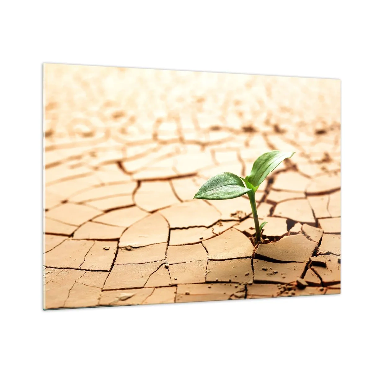 Tablou pe sticlă - Forța irepresibilă a vieții - 100x70 cm