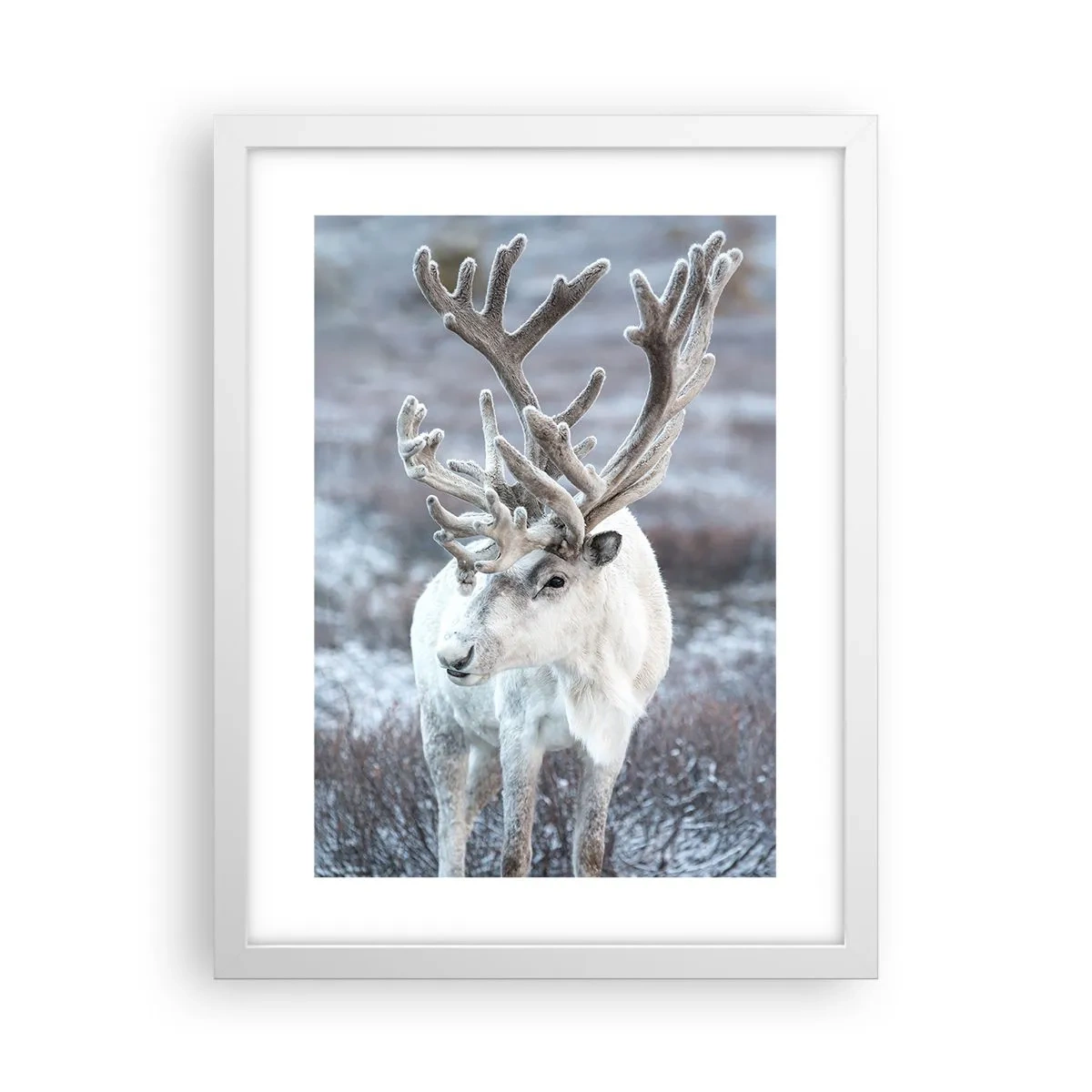 Poster în ramă albă - Portret la soare - 30x40 cm