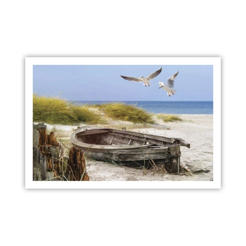 Poster - Scăldate în vânt - 91x61 cm