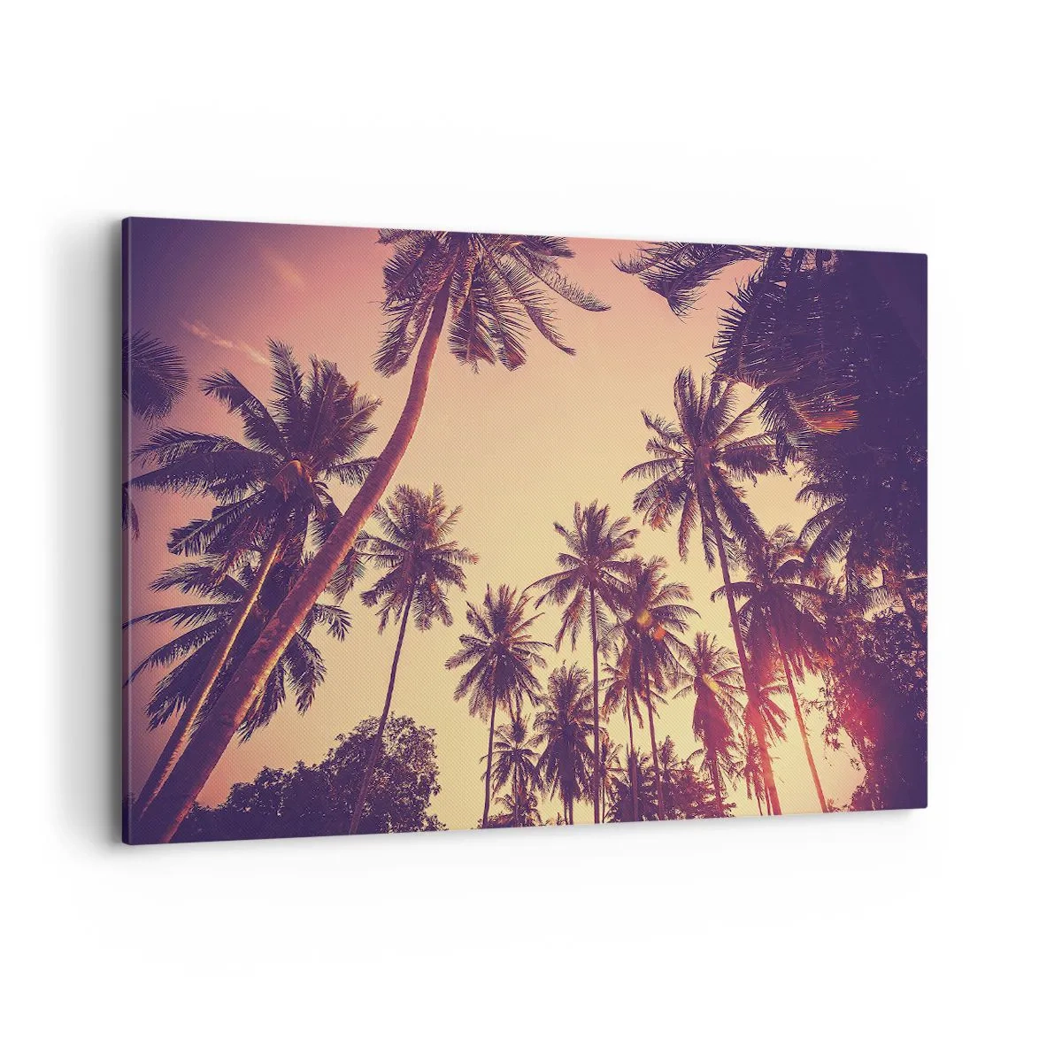 Tablou pe pânză - Variație tropicală - 120x80 cm