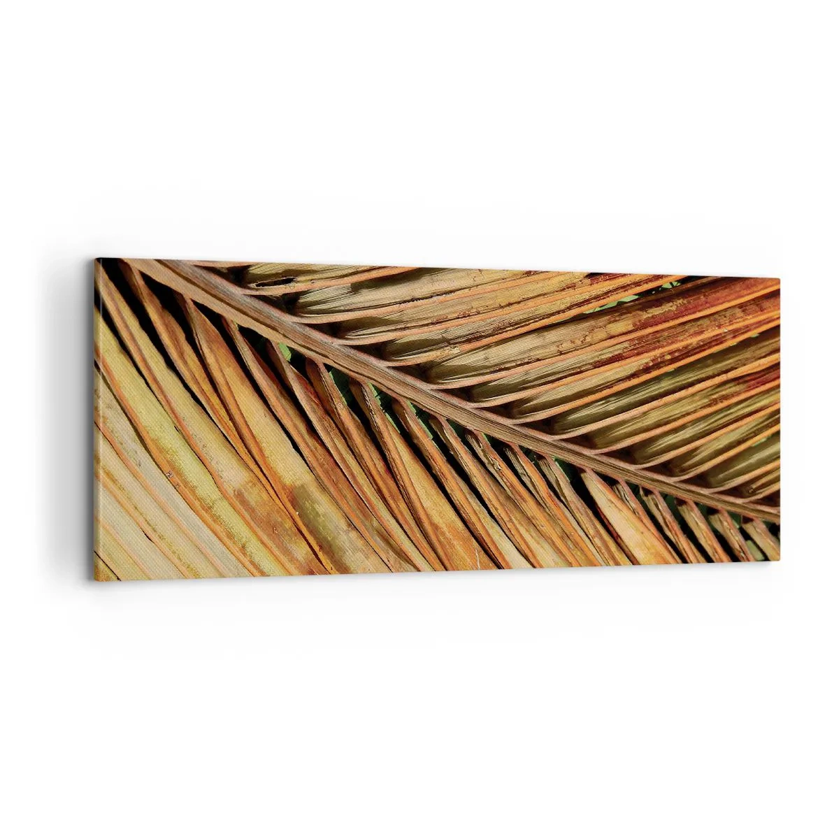 Tablou pe pânză - Aur de nucă de cocos - 100x40 cm