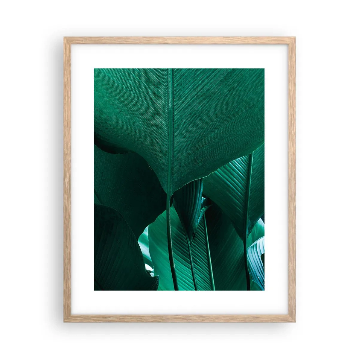 Poster în ramă de stejar deschis - Cu frunza la lumină - 40x50 cm