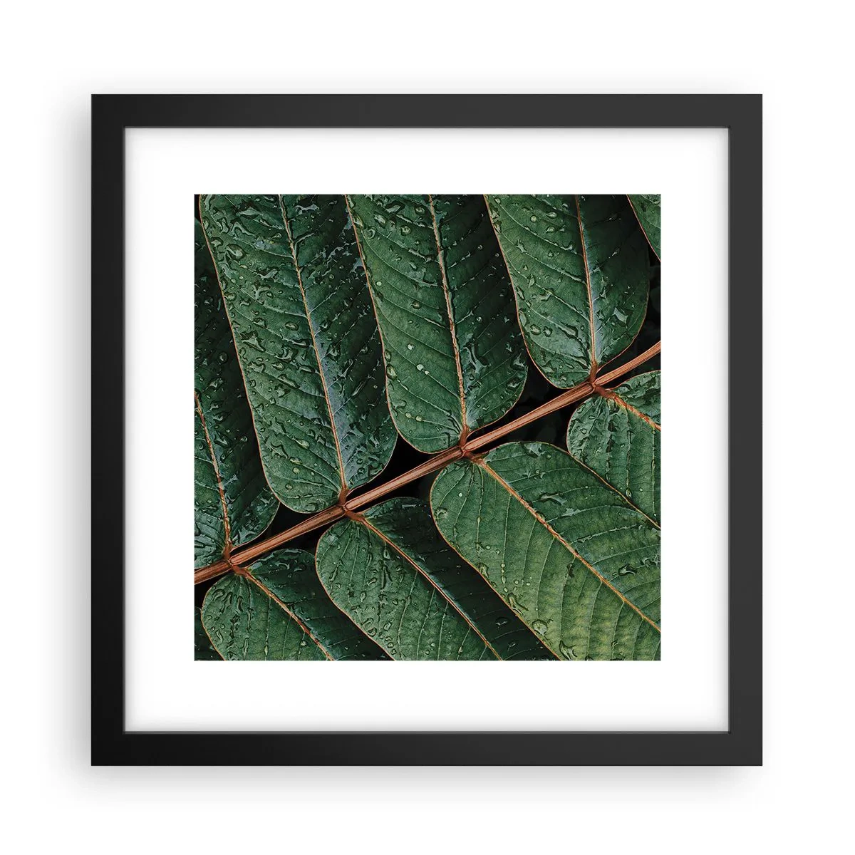 Poster în ramă neagră - Într-un ritm verde - 30x30 cm