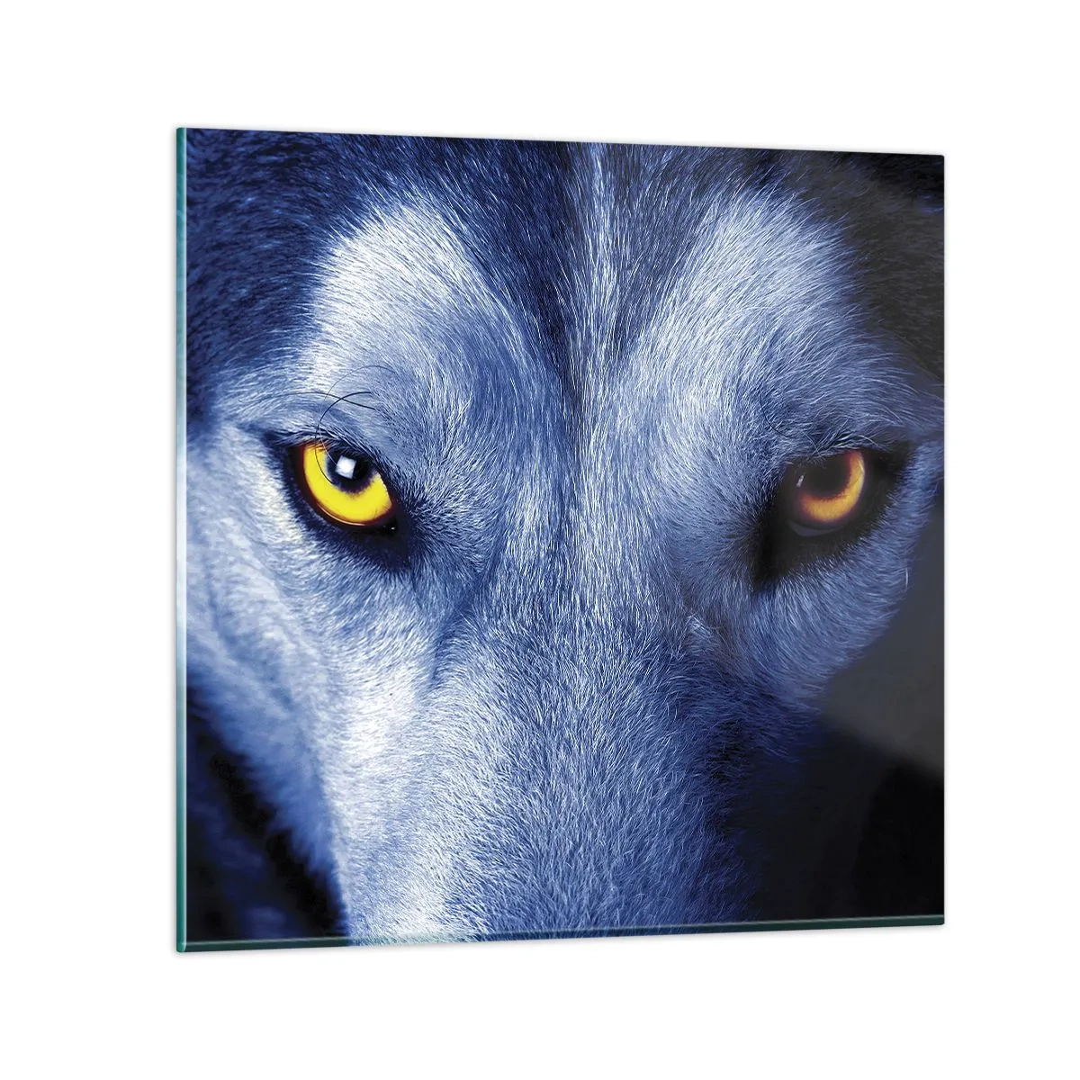 Tablou pe sticlă - O privire hipnotizantă - 40x40 cm