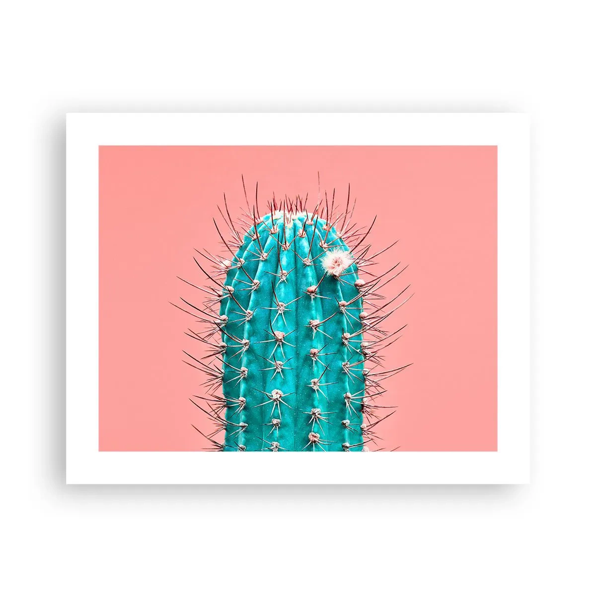 Poster - Doar privește - 50x40 cm