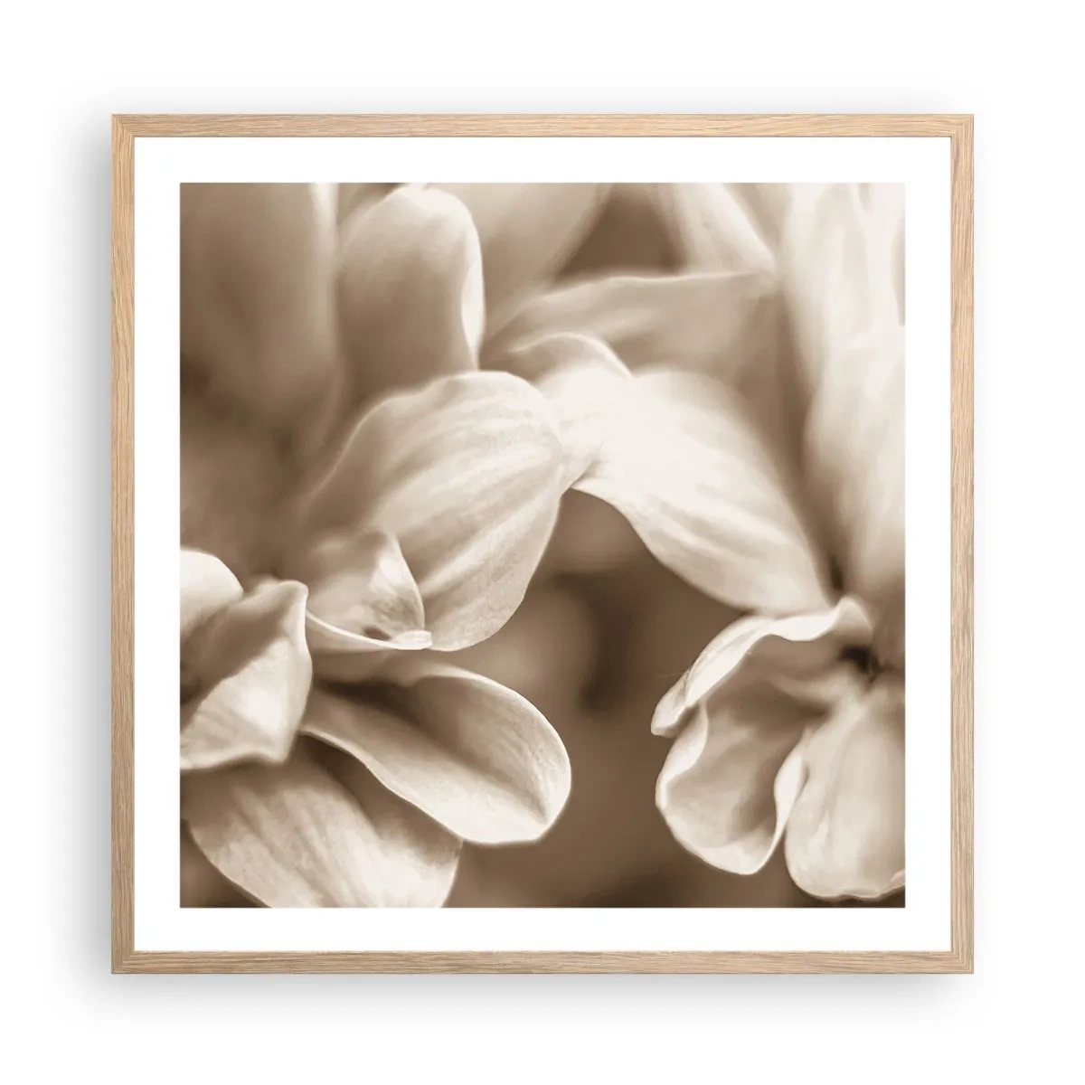 Poster în ramă de stejar deschis - Blânde ca un zâmbet - 60x60 cm