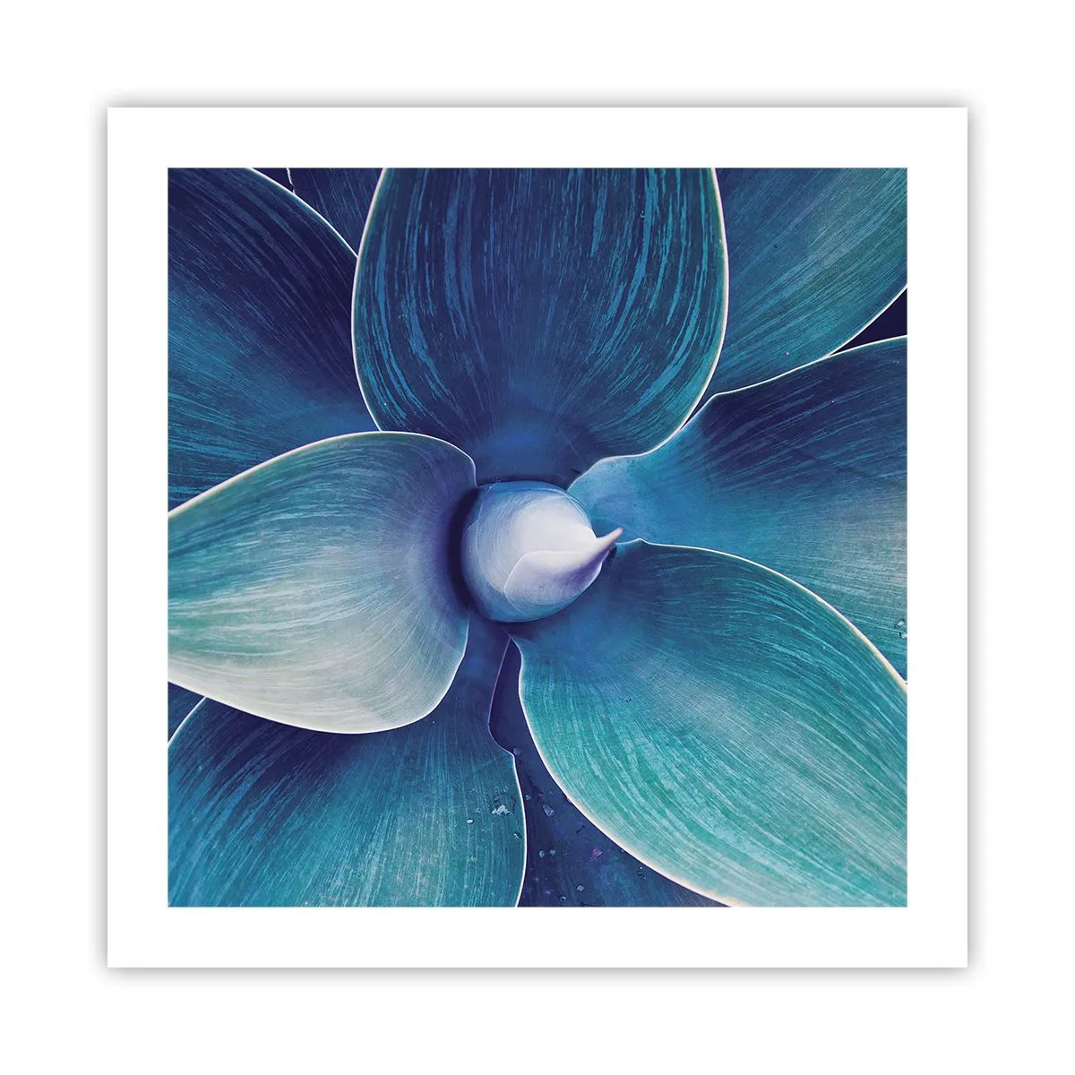 Poster - A furat albastrul de la cer - 50x50 cm