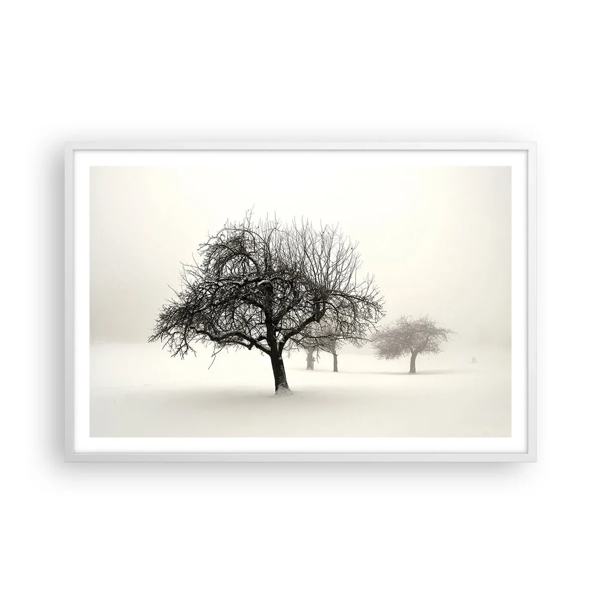 Poster în ramă albă - Hibernare - 91x61 cm