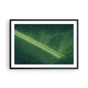 Poster în ramă neagră - Structura verdelui - 70x50 cm