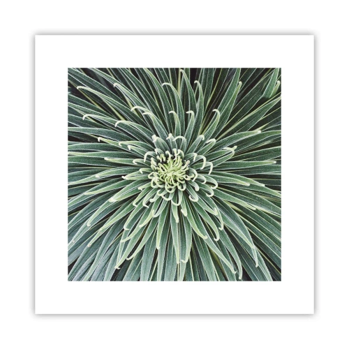 Poster - Nașterea unei stele - 30x30 cm