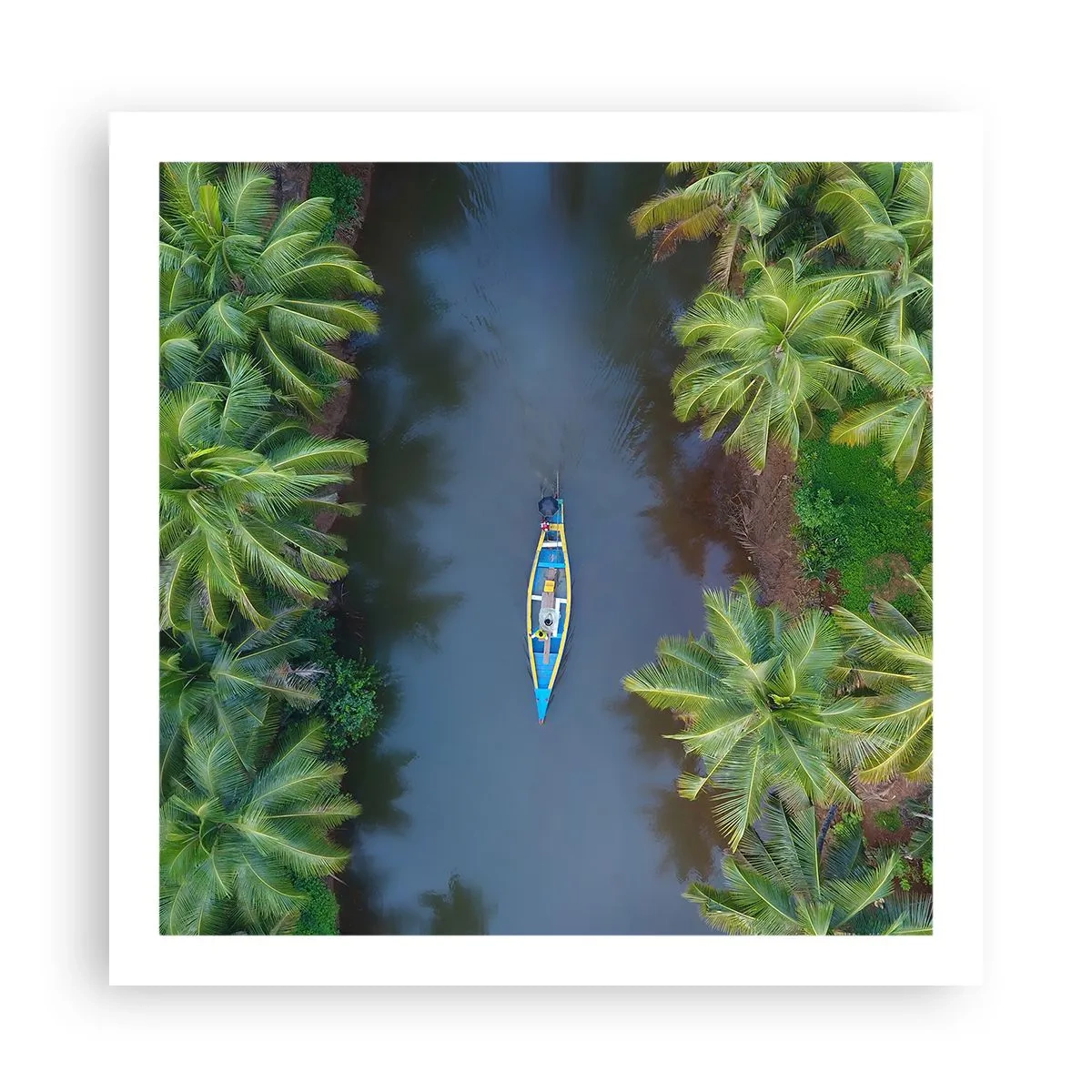Poster - Pe traseul tropical - 60x60 cm