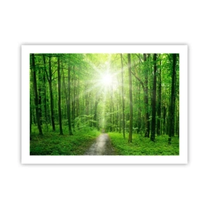 Poster - Catedrala verde - 70x50 cm