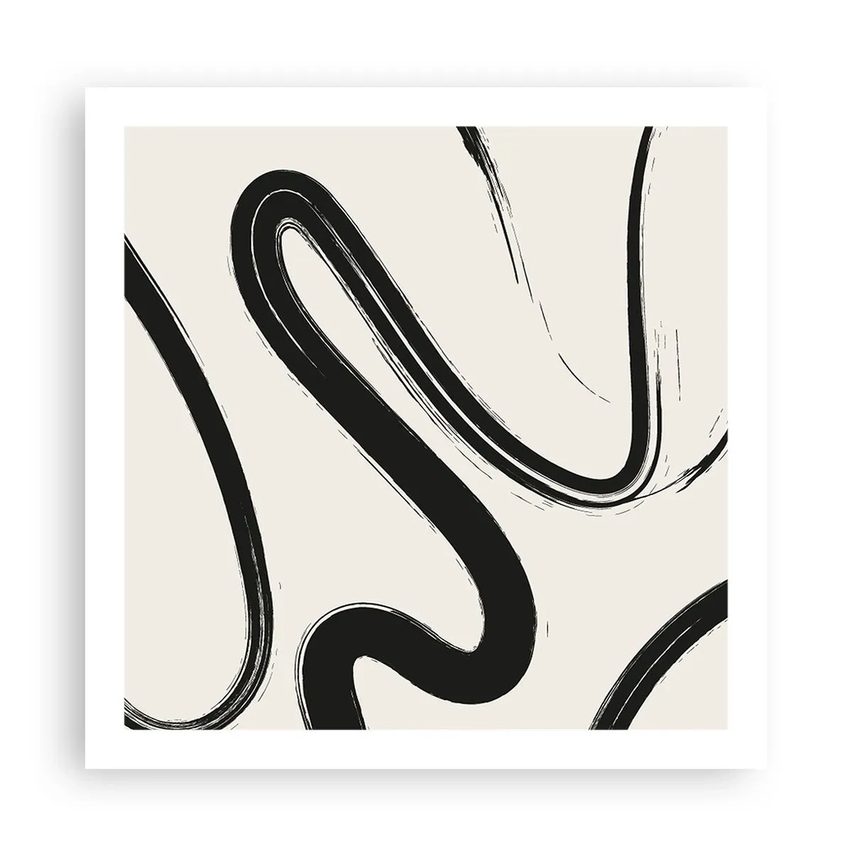 Poster - Capriciu în alb și negru - 60x60 cm