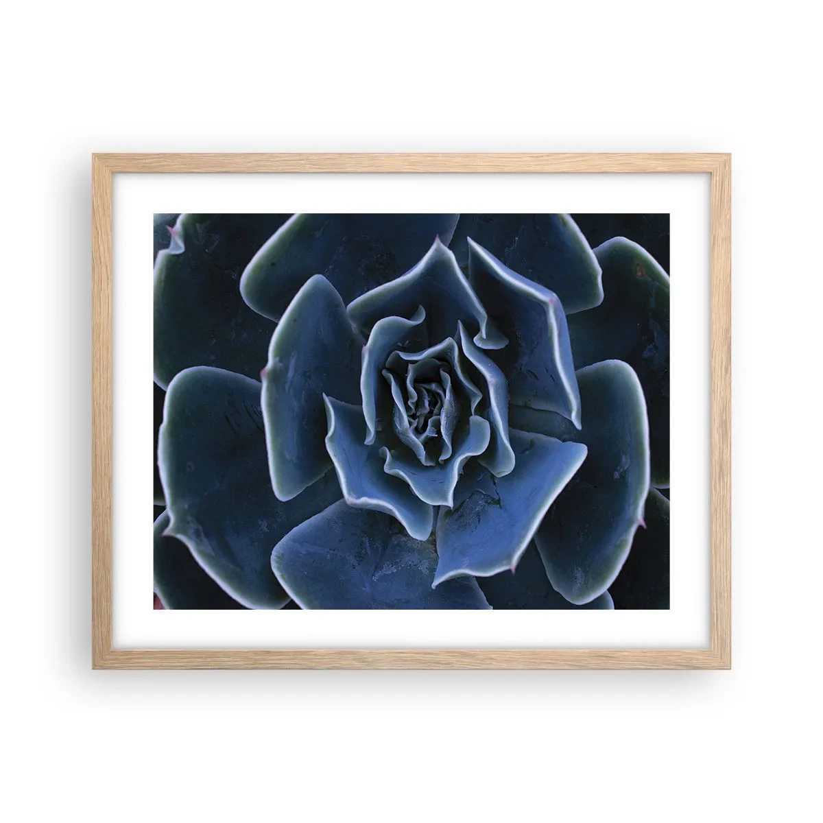 Poster în ramă de stejar deschis - Floare de deșert - 50x40 cm