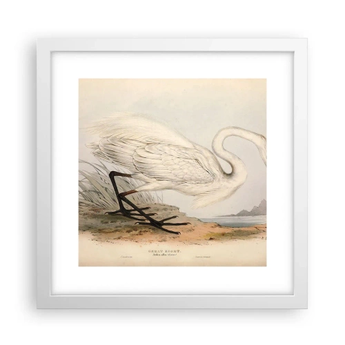 Poster în ramă albă - Doamna în stufărișuri - 30x30 cm