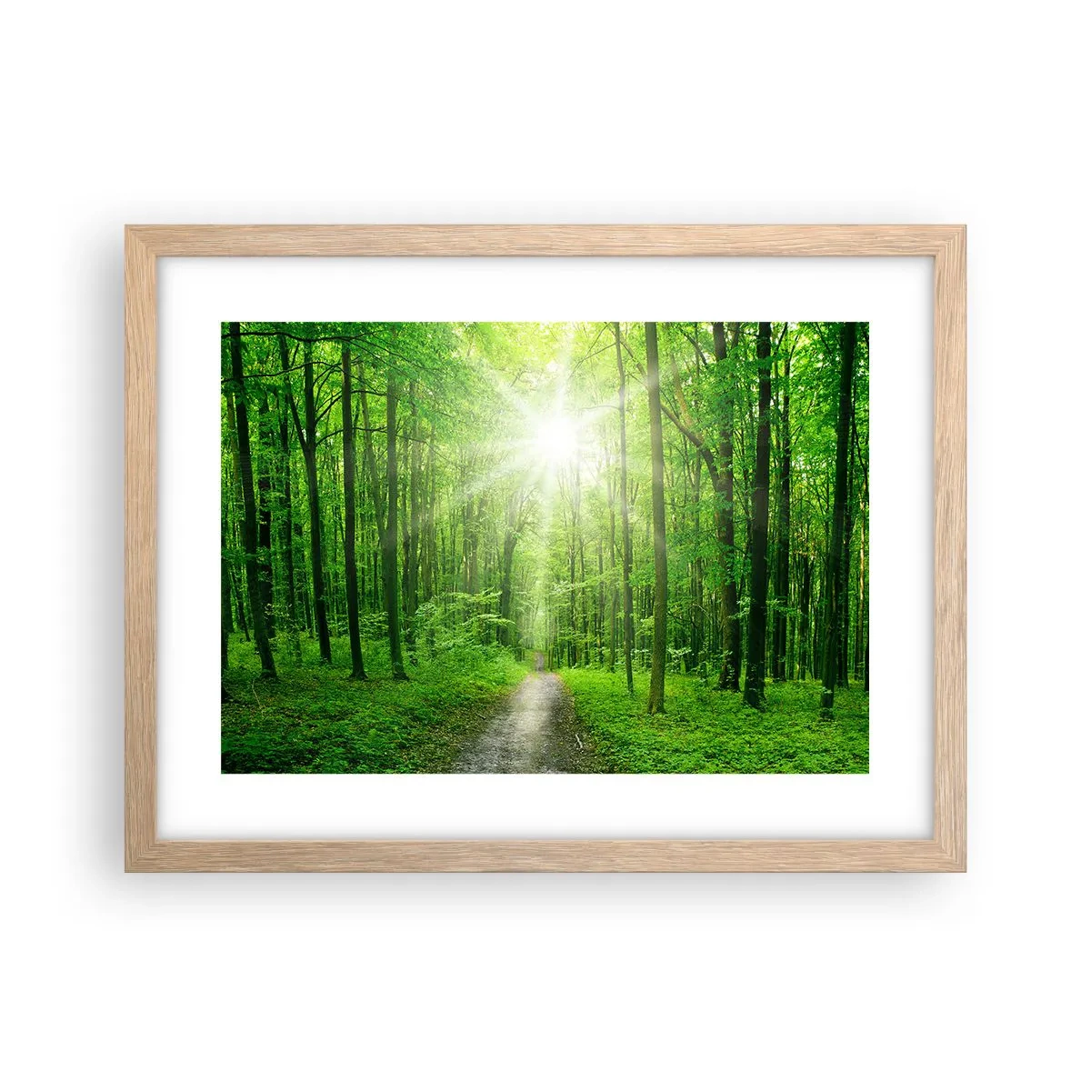 Poster în ramă de stejar deschis - Catedrala verde - 40x30 cm