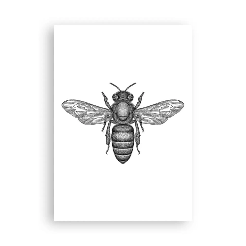 Poster - Portret de insectă - 70x100 cm