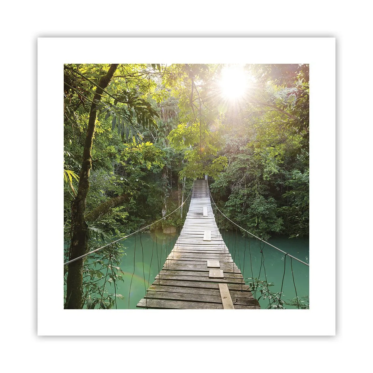 Poster - Peste apa de azur spre pădurea de azur - 40x40 cm