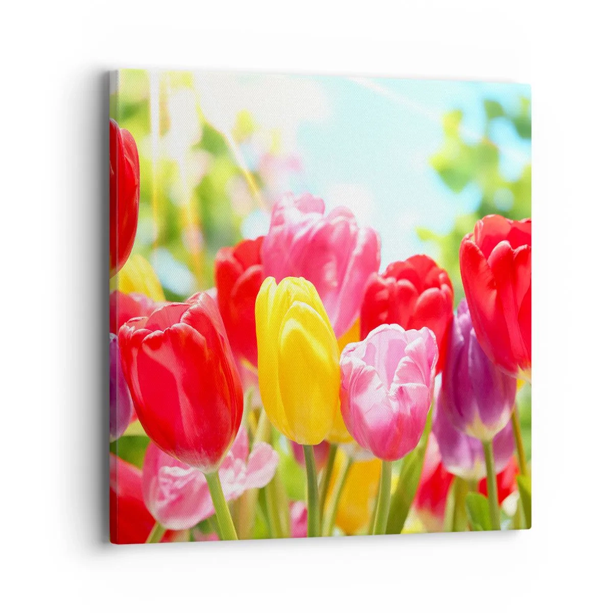 Tablou pe pânză - Așa suntem noi, culorile lunii mai! - 40x40 cm