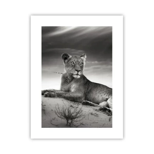 Poster - Odihna reginei deșertului - 30x40 cm