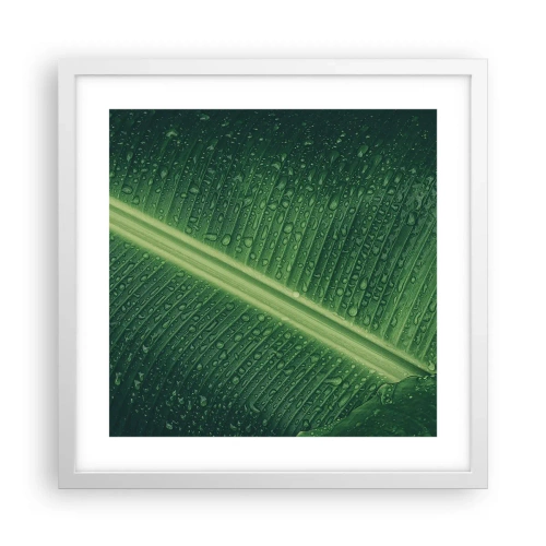 Poster în ramă albă - Structura verdelui - 40x40 cm