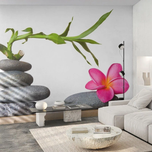 Tapet Premium Canvas - Culorile vieții și ale existenței - Floare, Pietre, spa - 500x350 cm