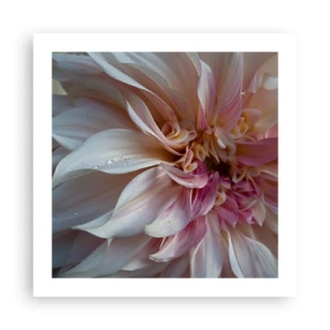 Poster - Prospețime înfloritoare - 50x50 cm