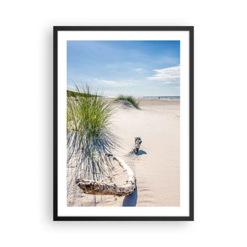 Poster în ramă neagră - Plajă cu dune, iarbă și crengi în lumina soarelui - 50x70cm - Cea mai frumoasă? Baltică - Decorațiune modernă pentru perete pentru living și dormitor ARTTOR