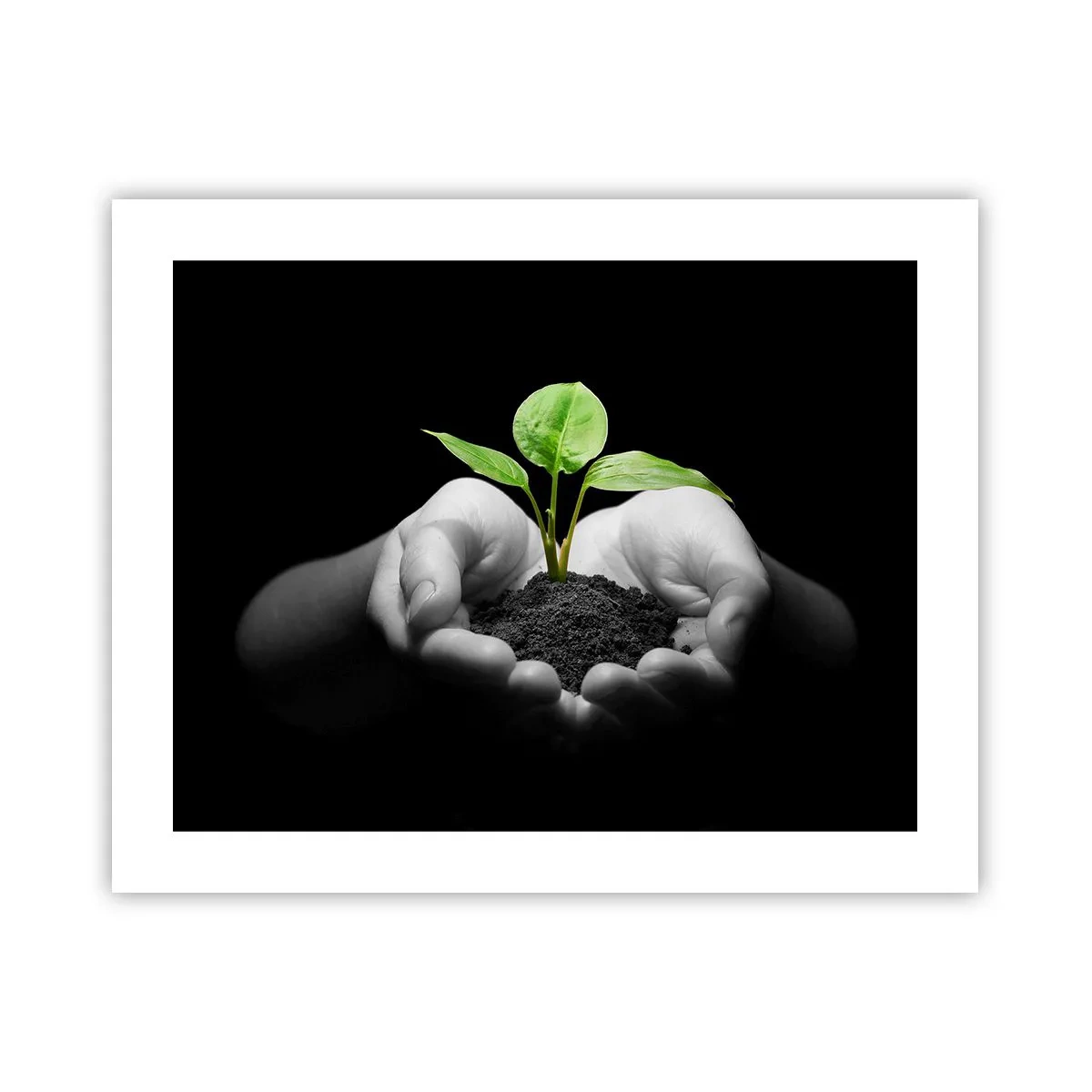 Poster - Iubesc natura, o protejez - 50x40 cm