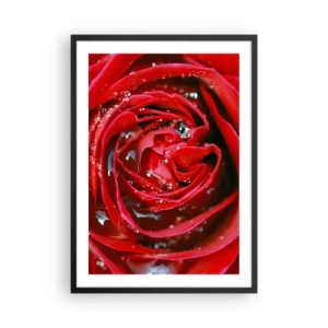 Poster în ramă neagră - Prim-plan al unui trandafir roșu cu picături de apă - 50x70cm - În picături de rouă - Decorațiune modernă pentru perete pentru living și dormitor ARTTOR
