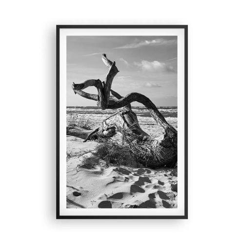 Poster în ramă neagră - Sculptură marină - 61x91 cm
