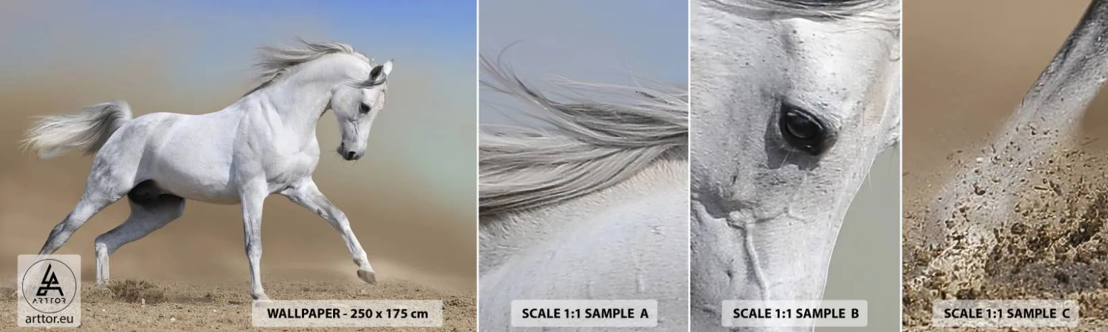 Mostră de Tapet Standard Eco - Cea mai frumoasă poveste arabă - Cal, Animale, Galop - 100x30 cm
