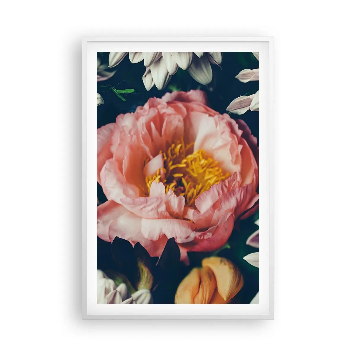 Poster în ramă albă - Cu splendoare barocă - 61x91 cm