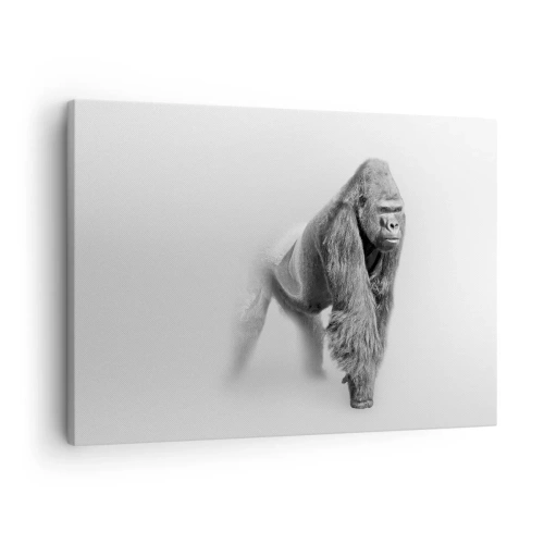 Tablou pe pânză Canvas - Gorilă în tonuri monocrome pe fundal alb - 70x50cm - Încrezător în puterea lui - Decorațiune modernă pentru perete pentru living și dormitor ARTTOR