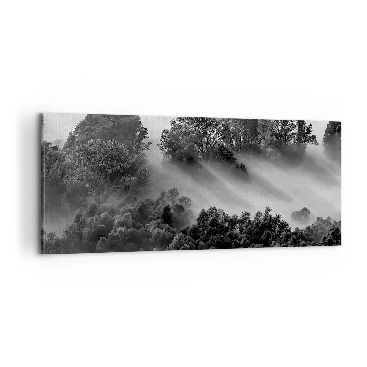 Tablou pe pânză - Trezindu-se din somn - 100x40 cm