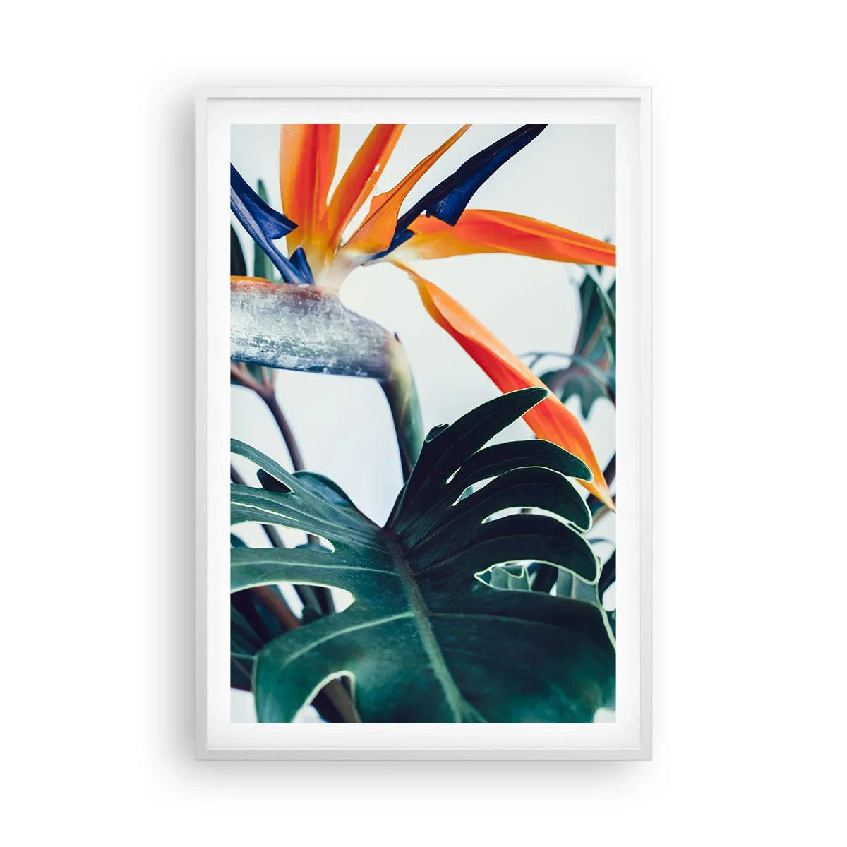Poster în ramă albă - Tufiș sau pasăre? - 61x91 cm