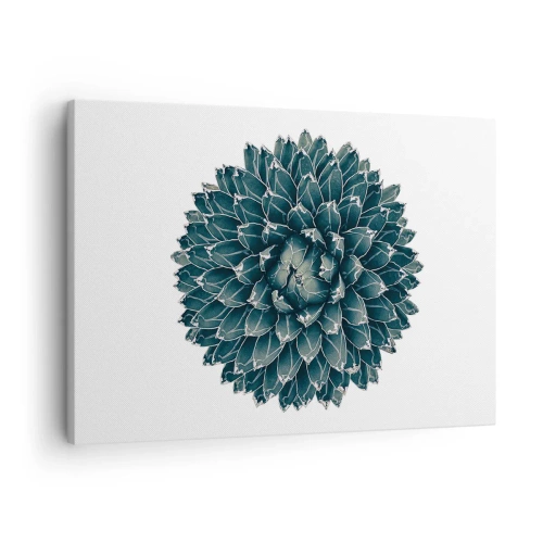 Tablou pe pânză Canvas - Plantă suculentă simetrică pe fundal alb - 70x50cm - Steaua deșertului - Decorațiune modernă pentru perete pentru living și dormitor ARTTOR