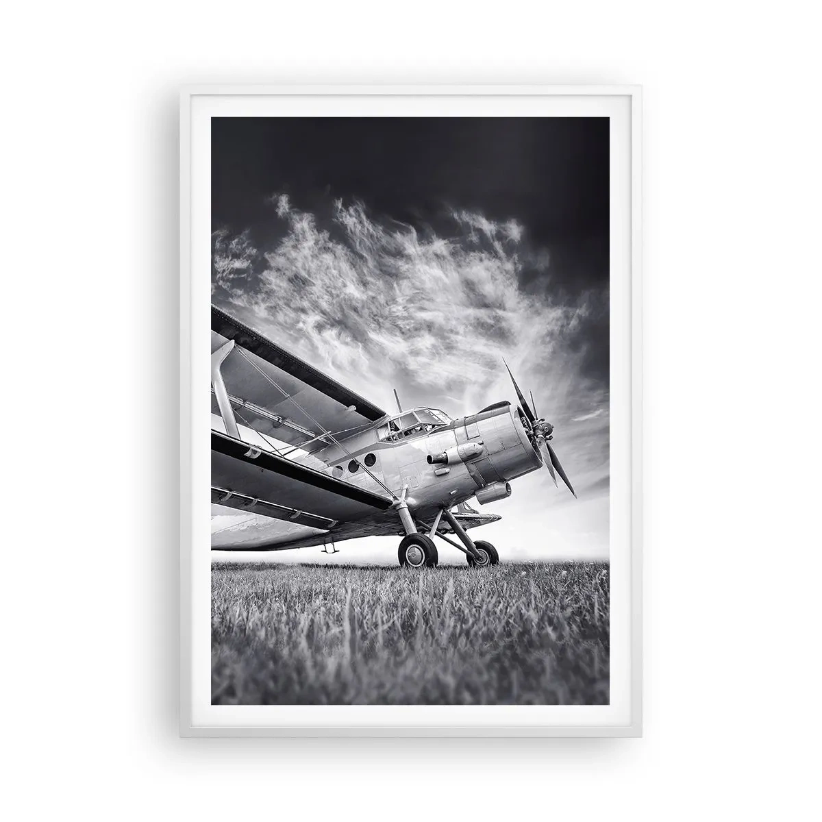 Poster în ramă albă - Rătăcitorul înaripat - 70x100 cm