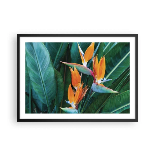 Poster în ramă neagră - Este o floare sau o pasăre? - 70x50 cm